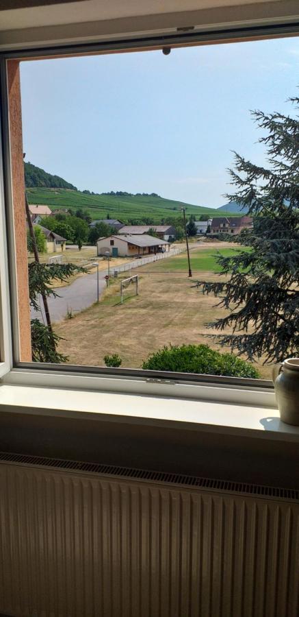 Gite Dans Vignoble Alsacien Westhalten Esterno foto