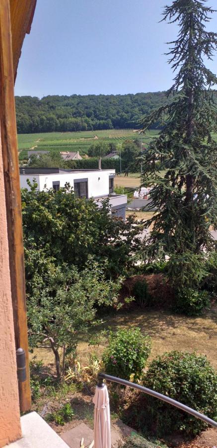 Gite Dans Vignoble Alsacien Westhalten Esterno foto